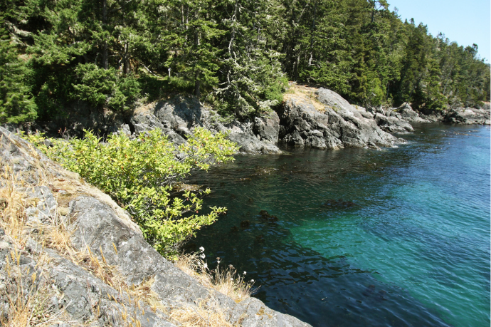 how-to-travel-mindfully-in-sooke