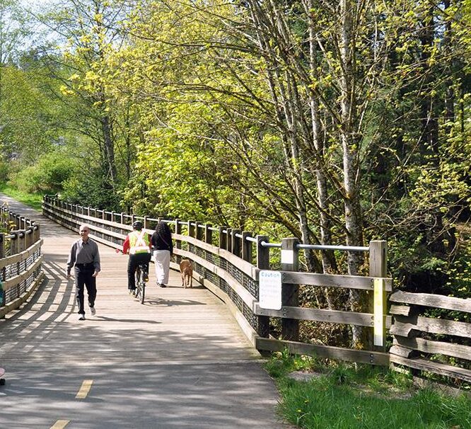 galloping-goose storm watch sooke